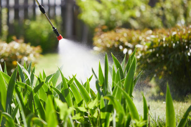24/7 Emergency Mosquito Control experts in Lipscomb, AL